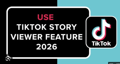 tiktok story viewer